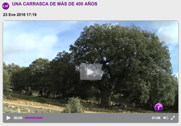 rtvclm-carrasca-el-pedregal