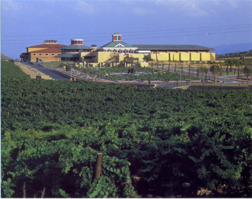 EXCURSIÓN a LA RIOJA