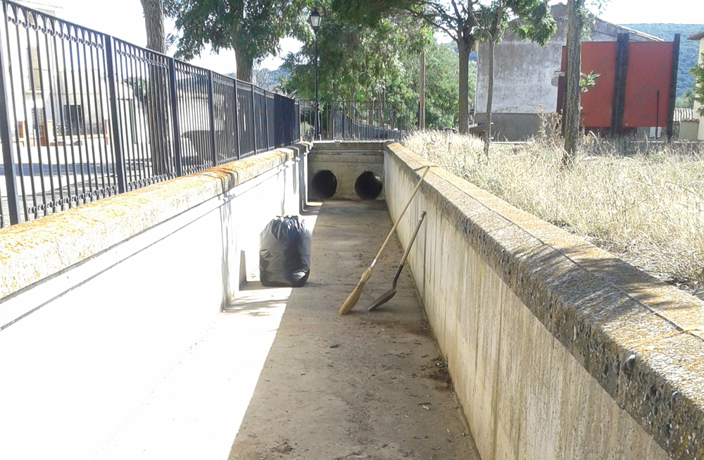 DÍA DEL MEDIOAMBIENTE