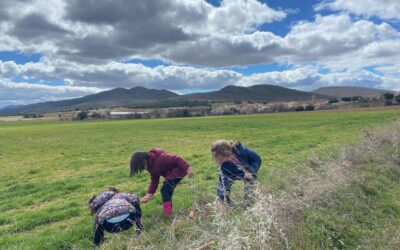 Nos preparamos para la primavera