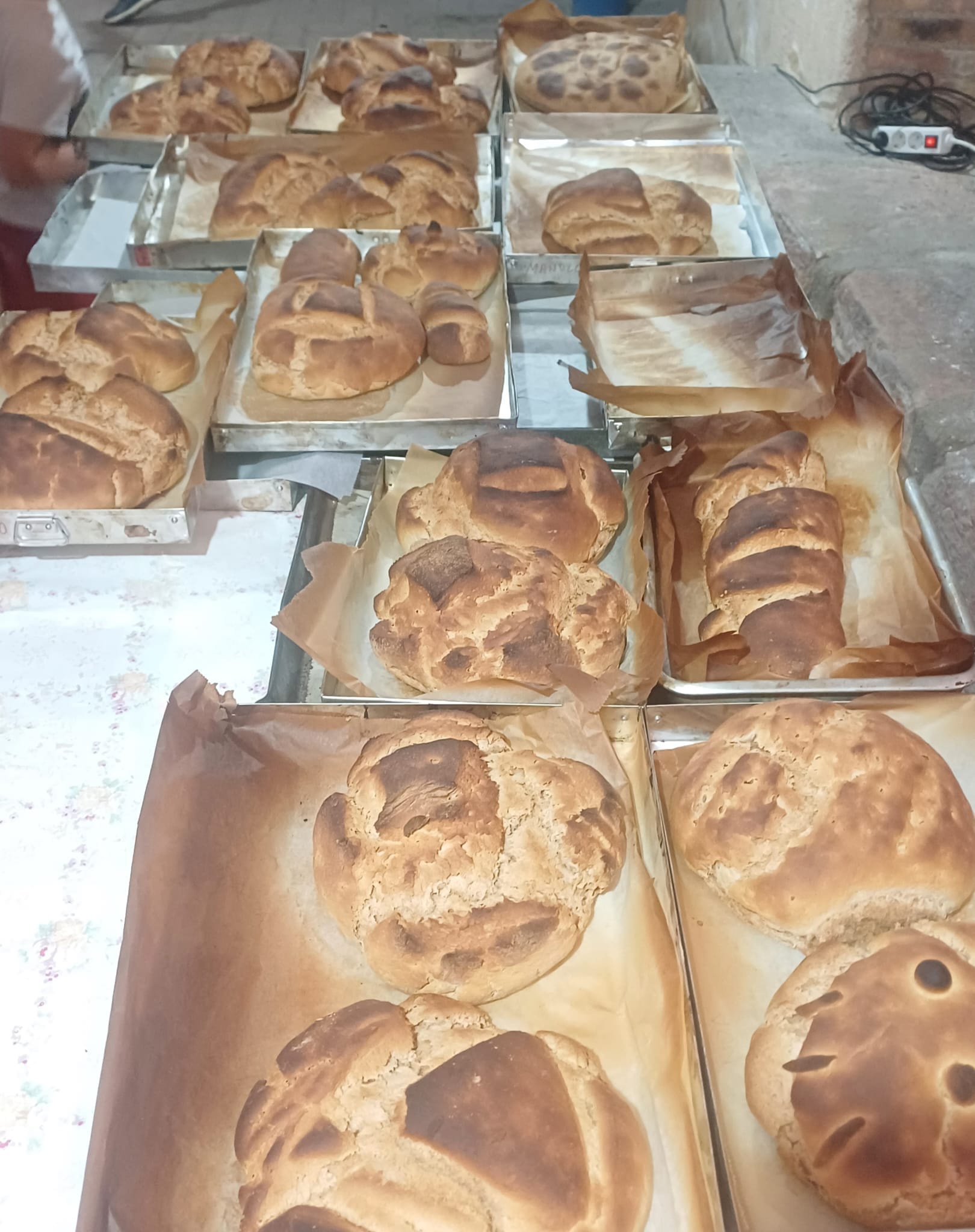 Taller de pan y charla de Trigos antiguos